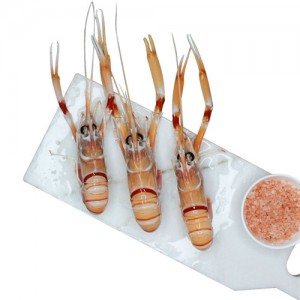 新西兰南极小龙虾1kg 3号 约15-20只