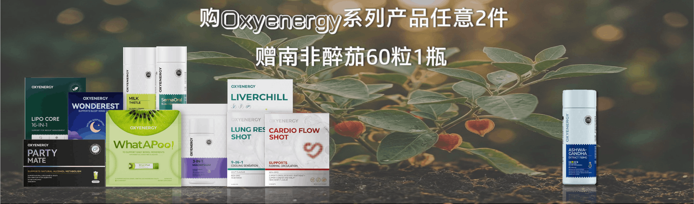 购Oxyenergy全系列产品2件，赠醉茄胶囊1瓶